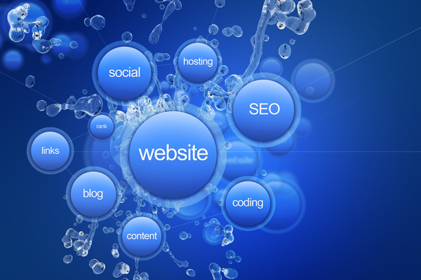 Web Design and Content Management